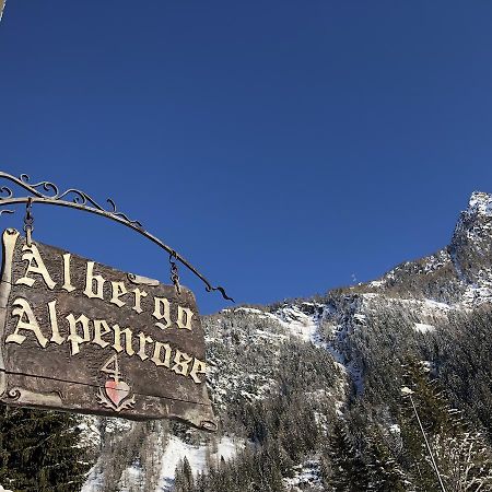 Albergo Alpenrose Ski&Bike Mountain Hotel Грессоне-Сен-Жан Экстерьер фото