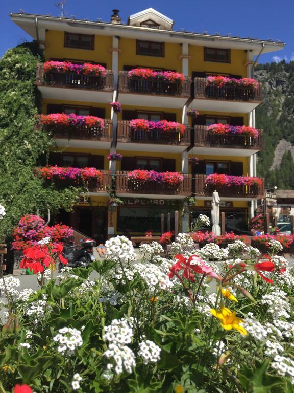 Albergo Alpenrose Ski&Bike Mountain Hotel Грессоне-Сен-Жан Экстерьер фото