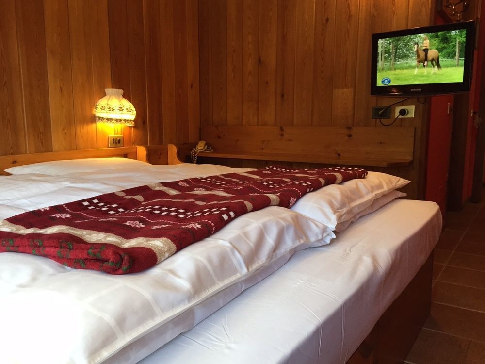 Albergo Alpenrose Ski&Bike Mountain Hotel Грессоне-Сен-Жан Экстерьер фото