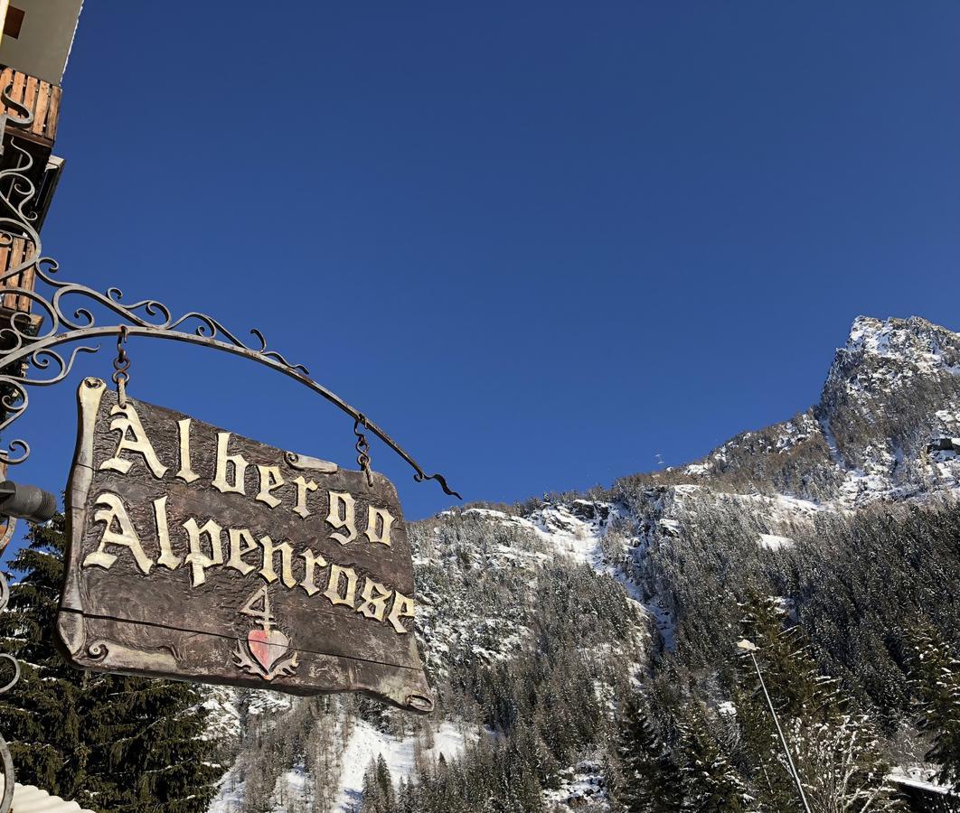 Albergo Alpenrose Ski&Bike Mountain Hotel Грессоне-Сен-Жан Экстерьер фото