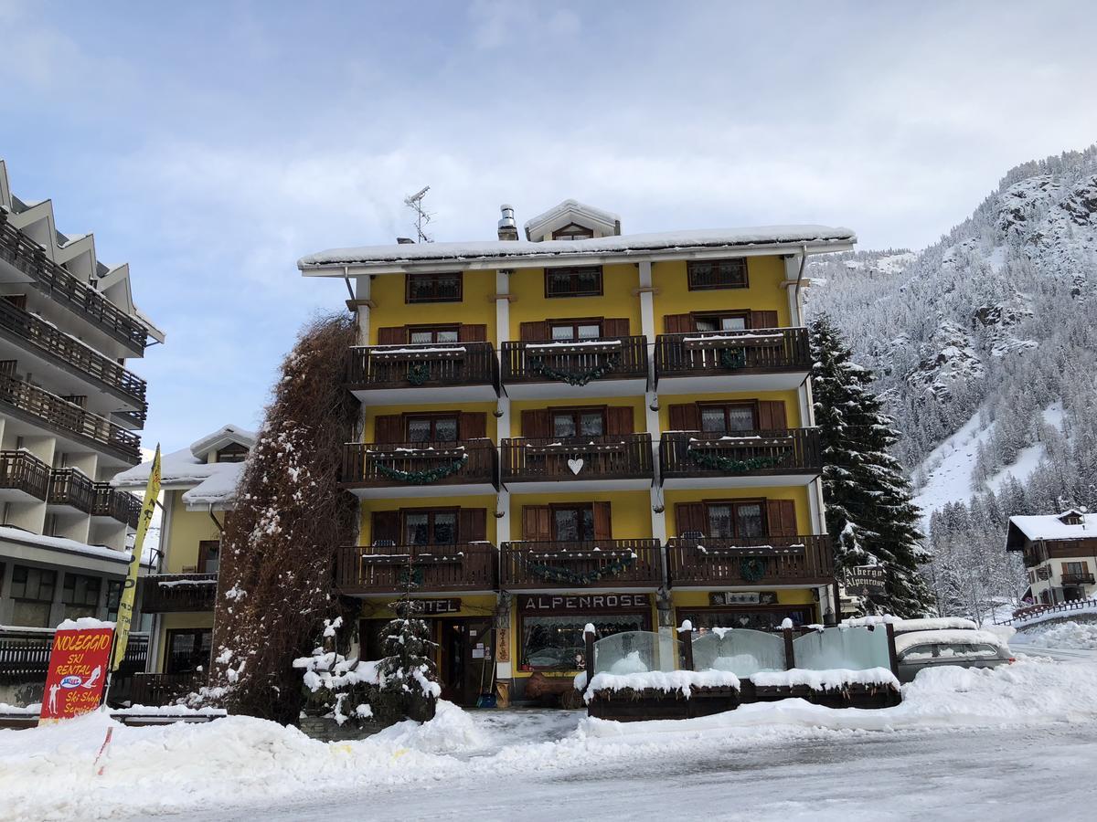 Albergo Alpenrose Ski&Bike Mountain Hotel Грессоне-Сен-Жан Экстерьер фото