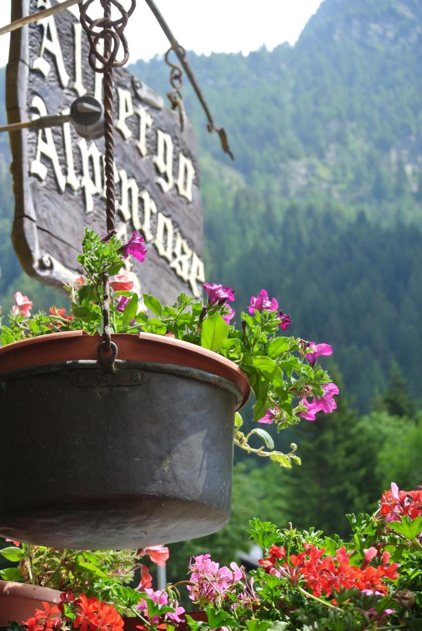 Albergo Alpenrose Ski&Bike Mountain Hotel Грессоне-Сен-Жан Экстерьер фото